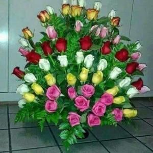 Meet your Posher, Dawn